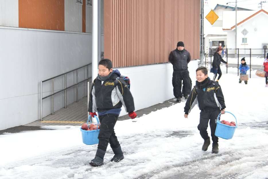 リンゴが入った籠を持参し、元気に登校する鶴田小の児童＝昨年12月9日、青森県鶴田町（同町提供）