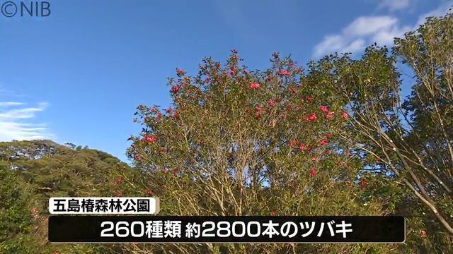 NIB長崎国際テレビ