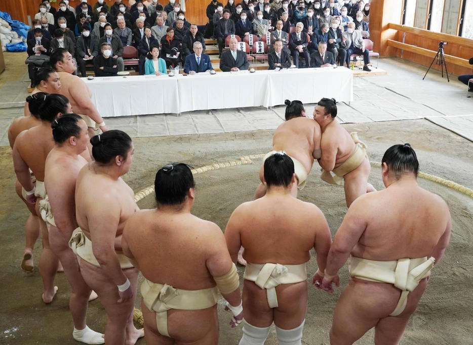 6日、両国国技館で行われた横綱審議委員会の稽古総見【写真：共同通信】