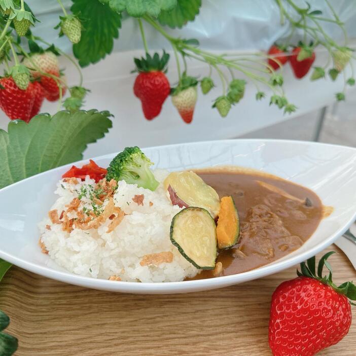 「いちご農園の本格いちごカレー」