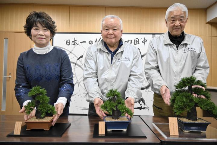 有高扇山堂と赤石五葉松輸出振興組合が協力して製作した赤石五葉松の水引細工