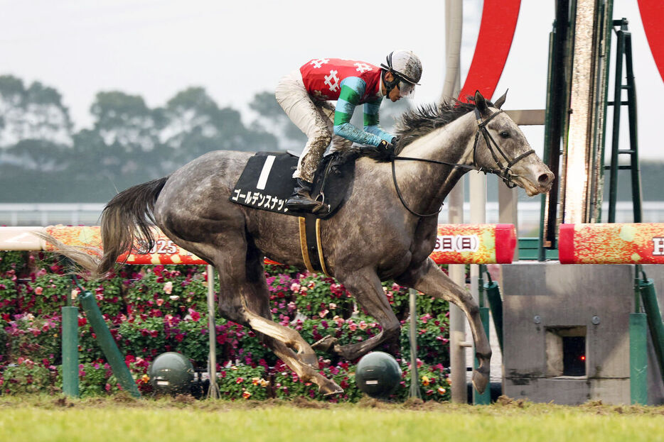 浜中俊騎手騎乗のゴールデンスナップが直線抜け出し快勝（カメラ・高橋　由二）