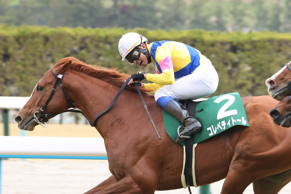 京都金杯連覇を狙うコレペティトール