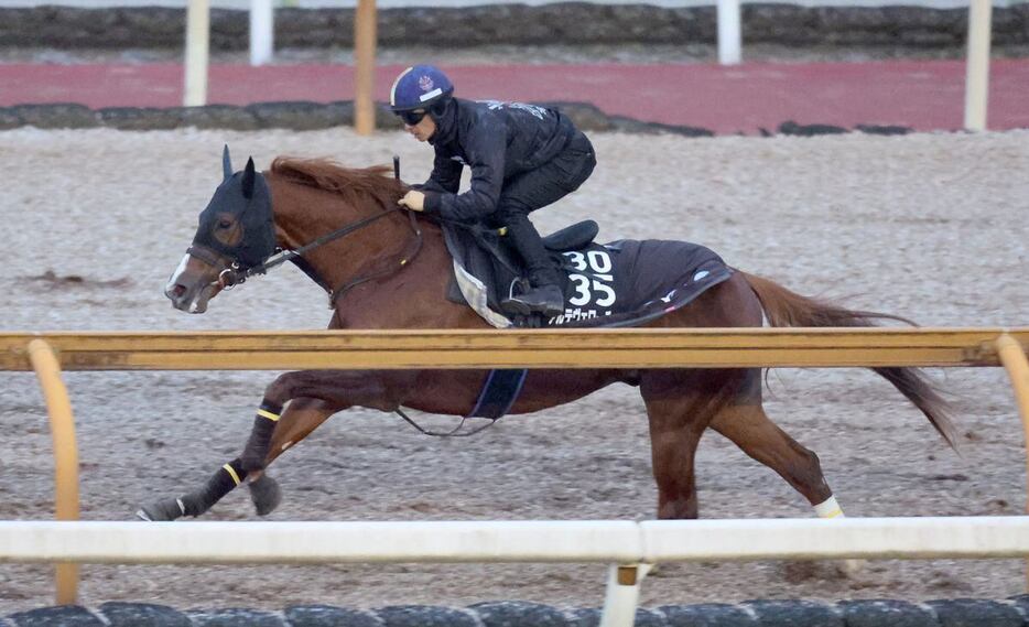 アルテヴェローチェは川田騎手を背に追い切る。しまいは鋭く伸びた