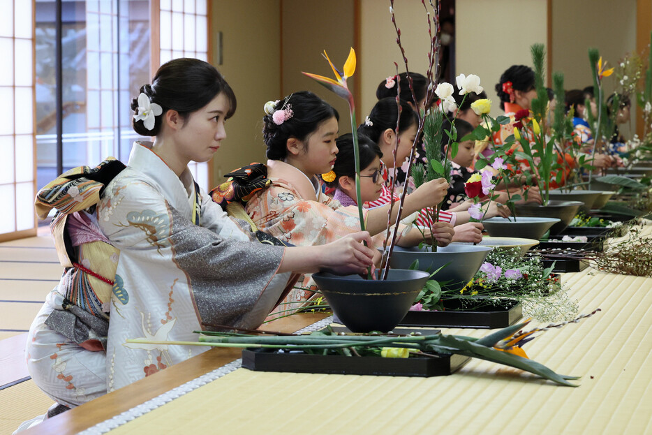 新年の門出を祝う華道家元池坊の「初生け式」が５日、京都市中京区の家元道場などで行われた。９歳から９８歳まで約８００人の門弟が真剣な表情で花を生け、一年の精進を誓った。