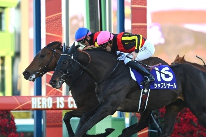 有馬記念はレガレイラ（奥）がシャフリヤール（手前）の猛追を抑えて優勝。3歳牝馬Vは64年ぶりの快挙だった。写真：産経新聞社