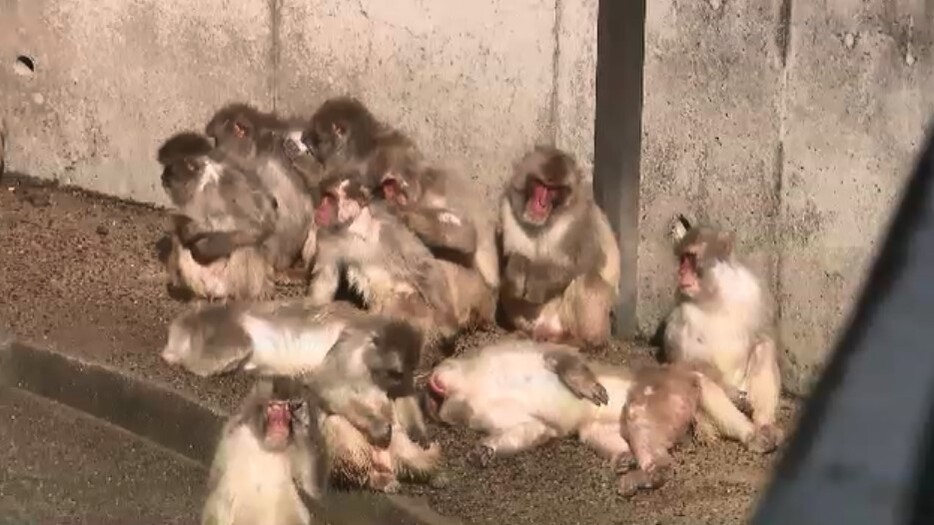 福岡市動物園(10日正午ごろ、福岡市中央区)