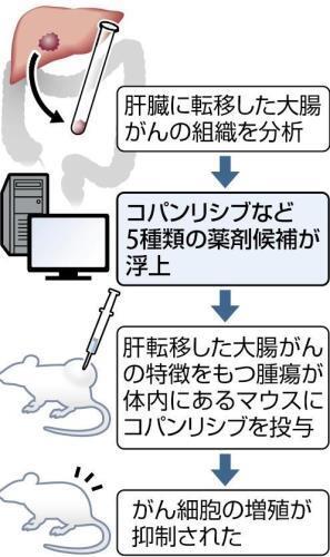 肝転移した大腸がんの治療薬候補を探した手順