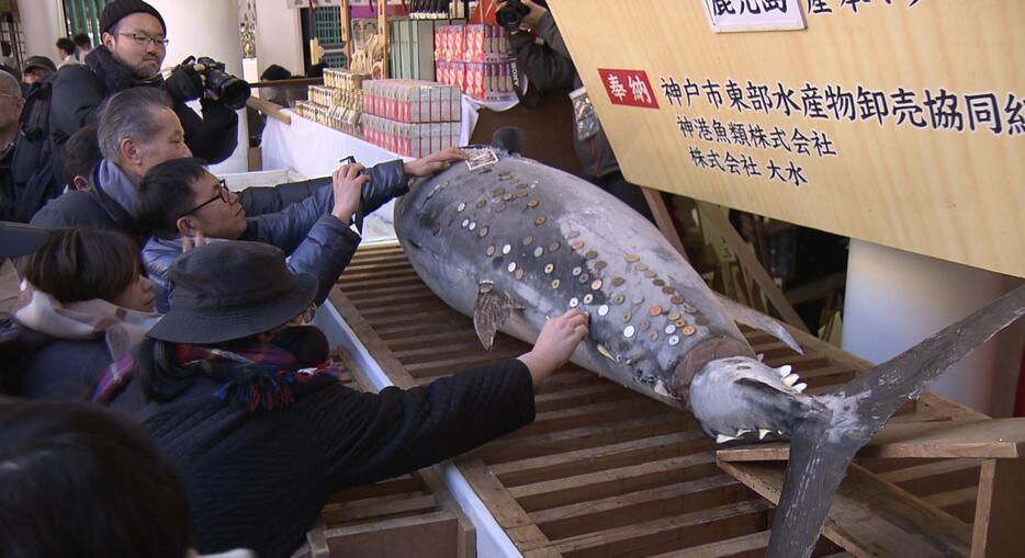 奉納された「招福大まぐろ」