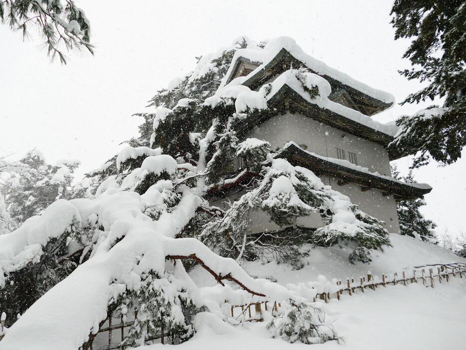 倒れた木が直撃した国の重要文化財「弘前城二の丸未申櫓」＝4日、青森県弘前市（同市提供）