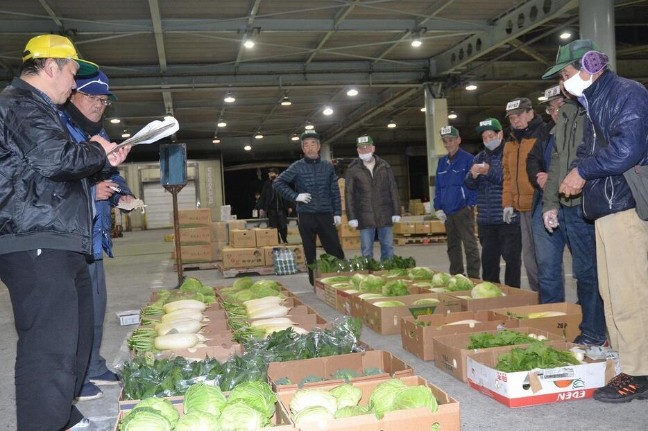 地元産野菜を見定める関係者（市中央卸売市場で）