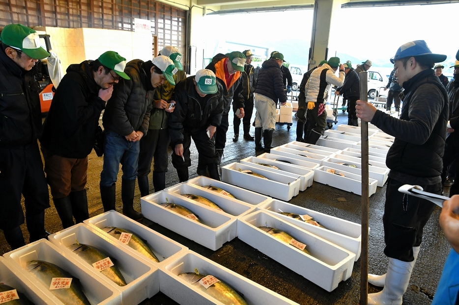 大量の水揚げに活気付いた初競り＝1月5日、福井県小浜市川崎3丁目の県漁連小浜支所