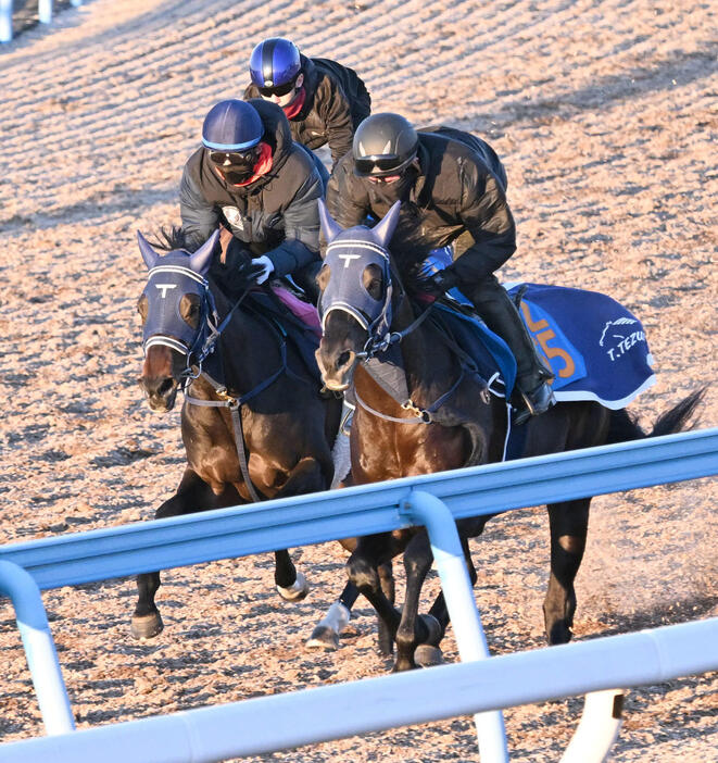 美浦ウッドを3頭併せで追い切る嶋田騎手とレイユール（左）（撮影・千葉一成）