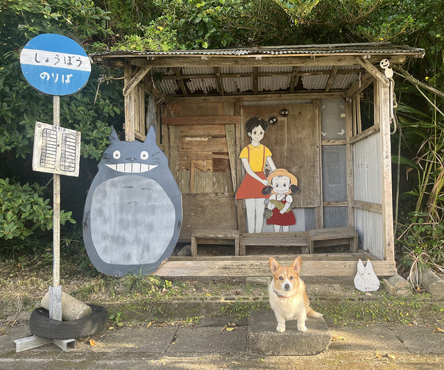 トトロのバス停で記念撮影。(写真/著者提供)