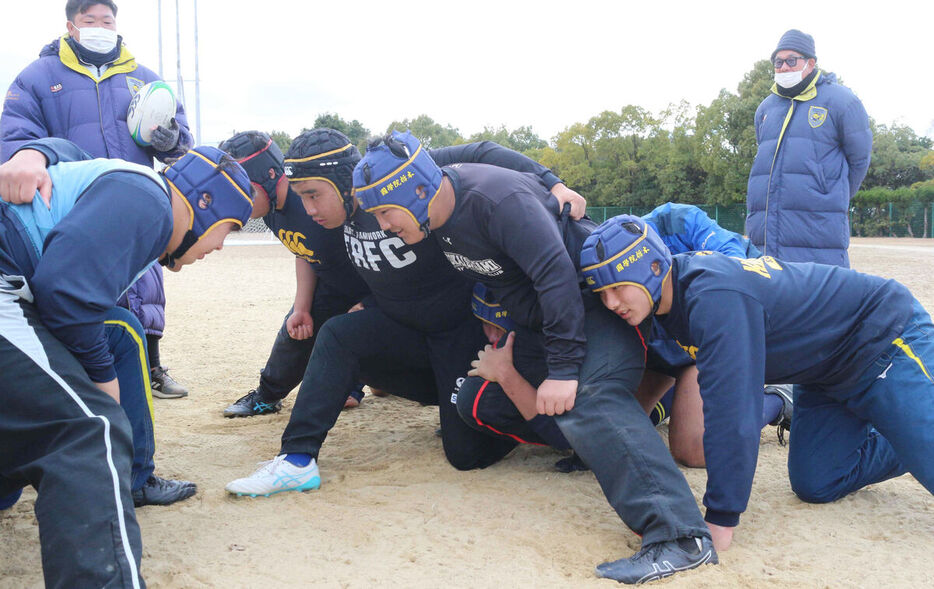 スクラム練習に取り組む国学院栃木FW陣