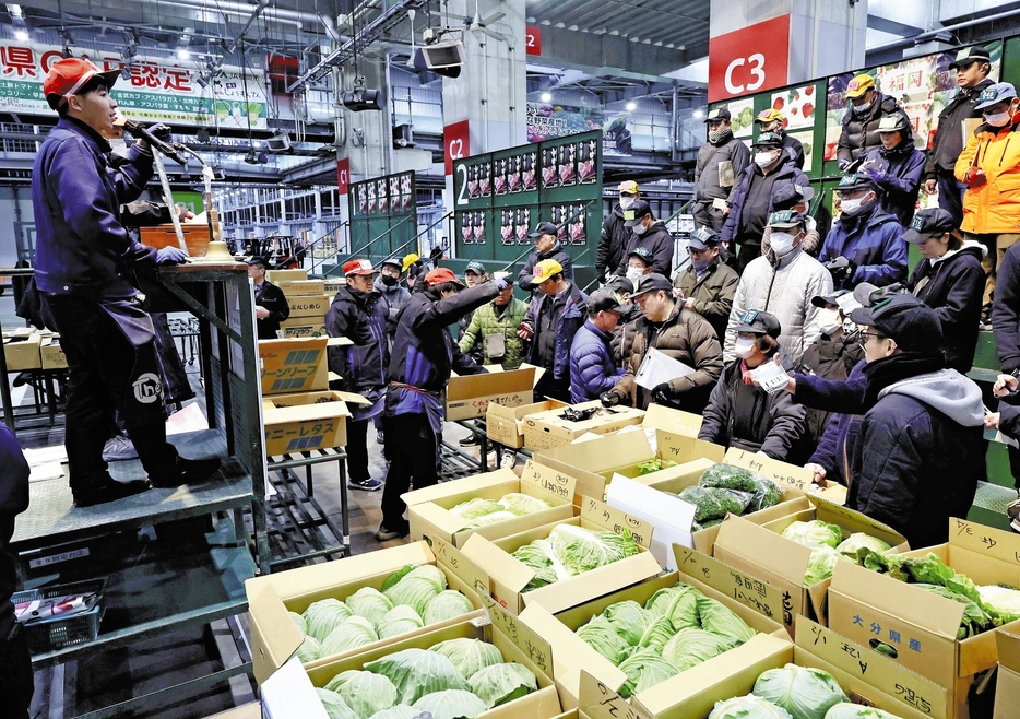 青果市場で競り落とされるキャベツなどの葉物野菜（5日午前、福岡市東区で）＝佐伯文人撮影