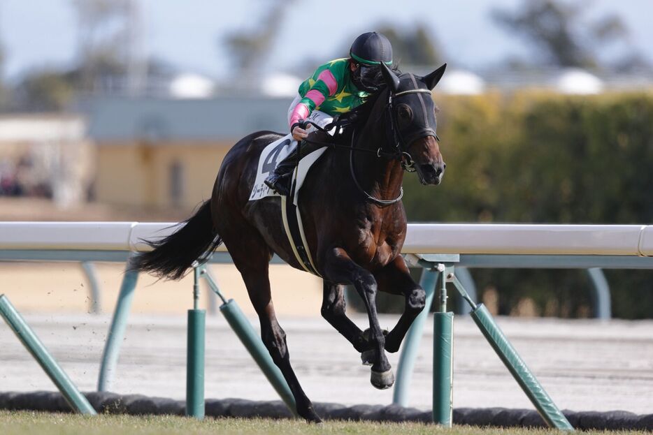 中京5R・ジーティーアダマンと松山弘平騎手