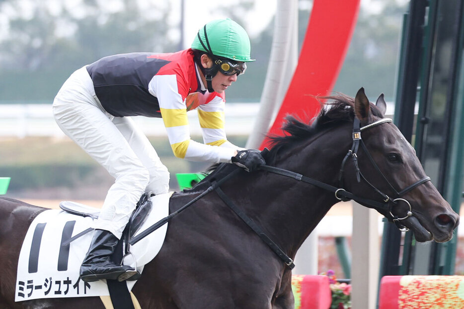 中京５Ｒを制したミラージュナイト（６日、中京競馬場）