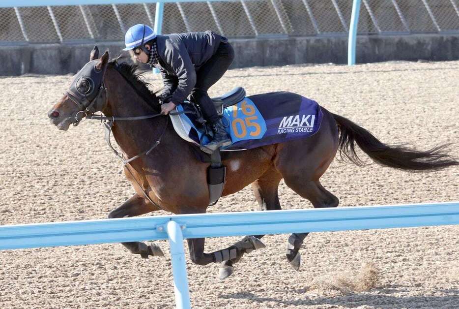 ボーンディスウェイは単走ながら上々の動きを披露した＝美浦トレセン、撮影・塩浦孝明