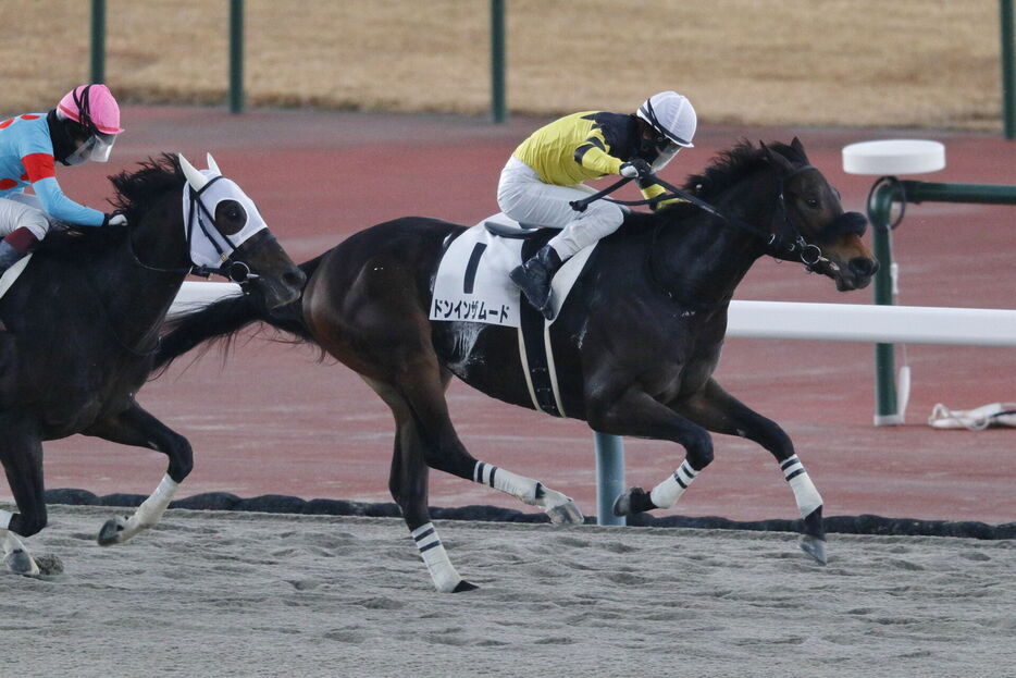 中京4R・ドンインザムードと松山弘平騎手