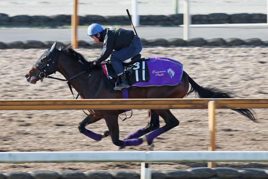 Cウッドで及第点の動きを見せたエンダードラゴン