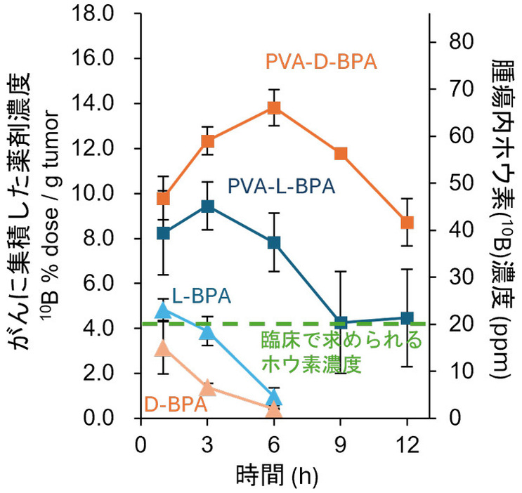 皮下にがんを生じたマウスに薬剤を静脈注射後、薬剤のがんへの集積を調べた。L-BPA、D-BPAともにPVAと一緒の方が集積するが、PVAとD-BPAの薬剤が一番の高濃度のまま長時間がんに集積した（東京大学の野本貴大准教授提供）