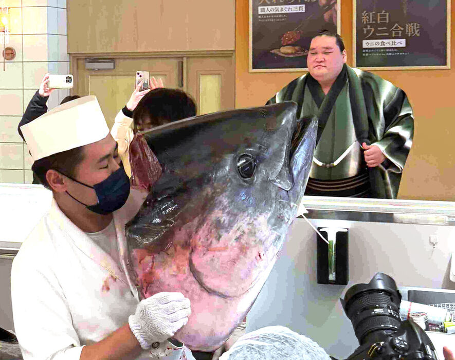 一番マグロのカマを興味深げに見る照ノ富士（カメラ・樋口　智城）