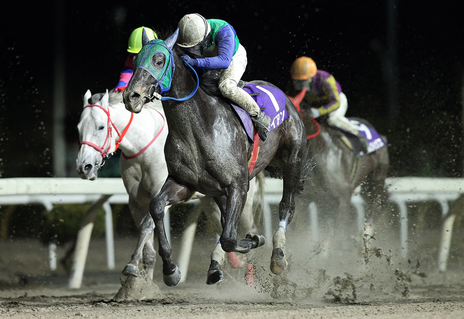 桐花賞・ライアンと小林凌騎手 (C)岩手県競馬組合