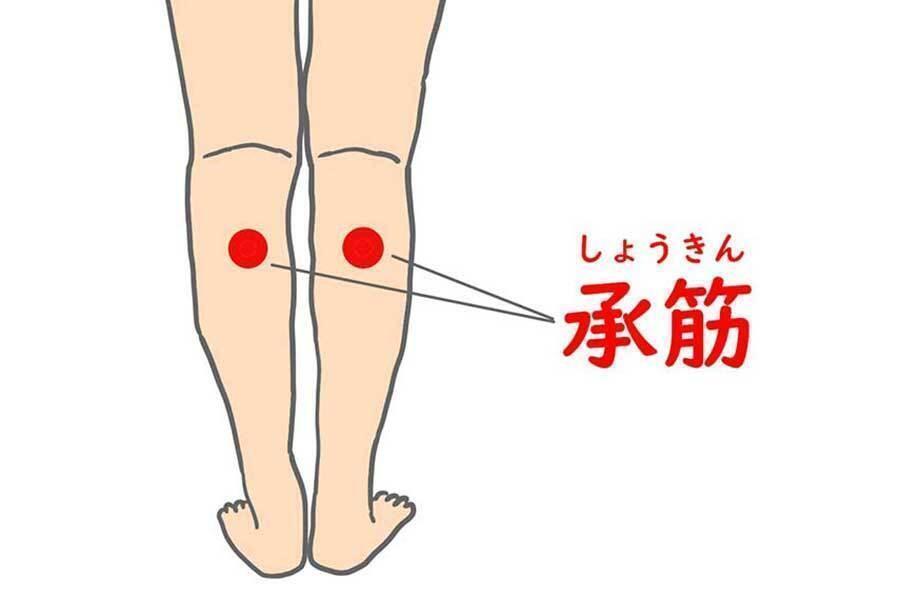 足の血行改善に良いといわれるツボの承筋【画像：イラストAC】