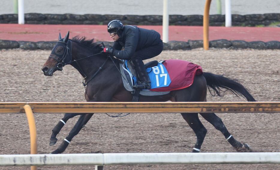 CWコースで一杯に追われたロードデルレイ＝栗東トレセン（撮影・安部光翁）