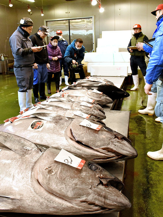 本マグロやメバチマグロなどが競り落とされた初競り＝山形市公設地方卸売市場