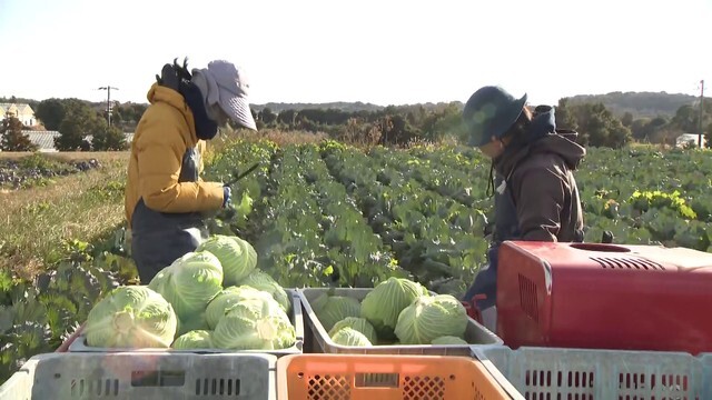 中京テレビNEWS