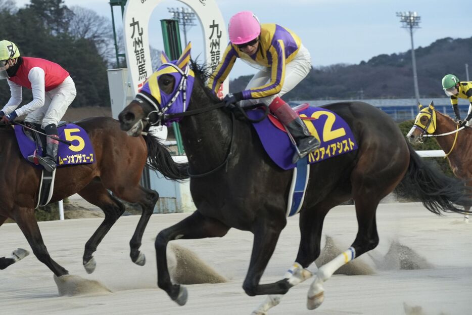 佐賀若駒賞・ハクアイアシストと山口勲騎手 (C)佐賀県競馬組合