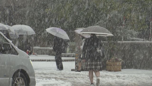 雪の降る中、傘を差して登校する生徒たち＝8日午前8時ごろ、福井市の福井農林高校