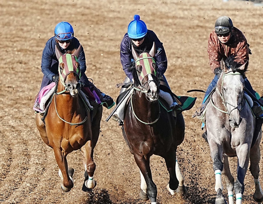 ウッドチップコース、3頭併せで追い切るジョリーレーヌ（左（撮影・郡司修）