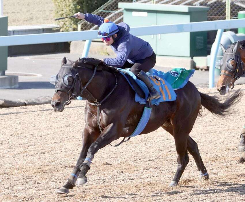 ゴールデンシロップは美浦Ｗコースで先着した