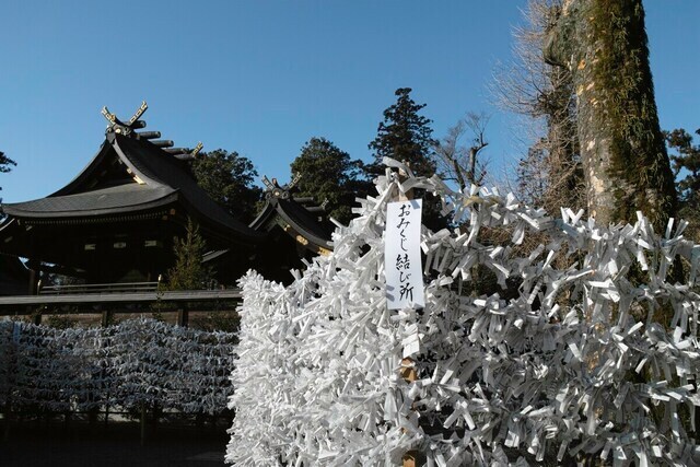 おみくじを境内に結ぶ際は「おみくじ結び所」など指定された場所に結ぶ