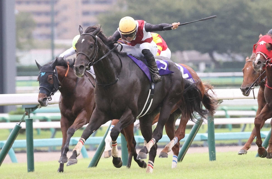 スプリンターズSを制したルガル（撮影・村上大輔）