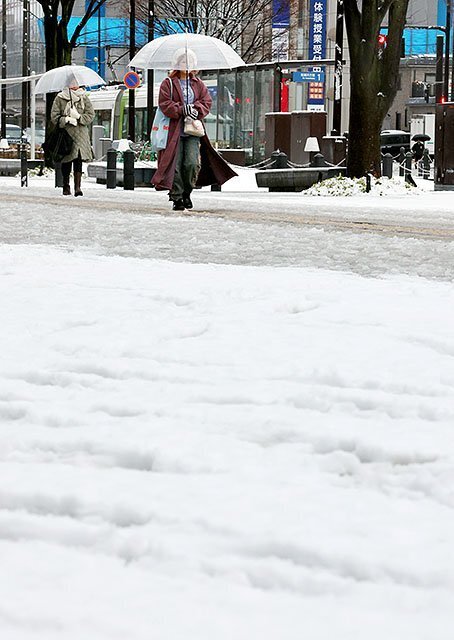 積もった雪で真っ白になる歩道＝８日午前９時１０分ごろ、富山市牛島町