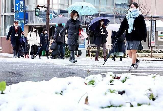 長靴や防寒具を身に着けた歩行者が、雪で白くなった横断歩道を歩く＝８日午前８時５０分ごろ、富山駅前