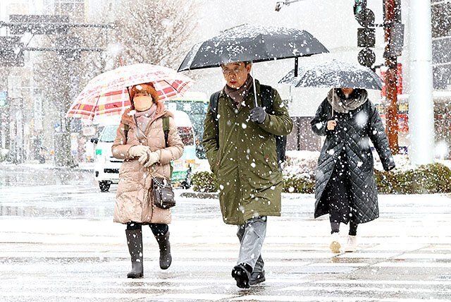 降りしきる雪の中、傘を差して歩く人たち＝８日午前９時半ごろ、富山駅前