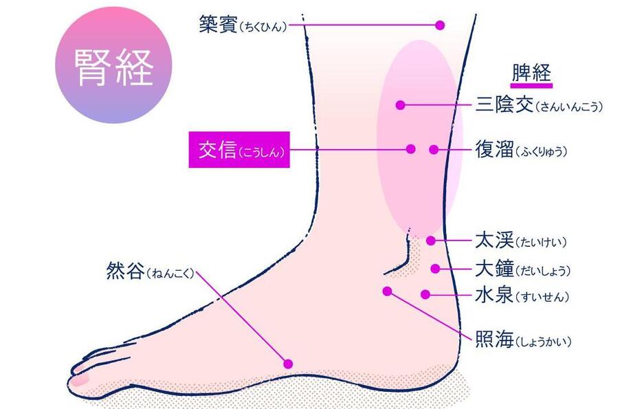 ツボ「三陰交」「交信」など