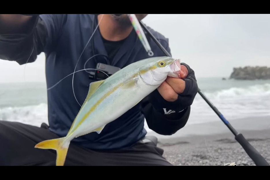 40cm級の鯵は釣れずも大型のワカナゴを釣り上げたハヤマさん