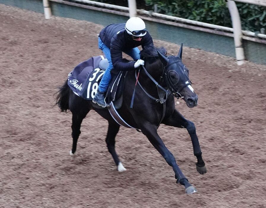 シンザン記念の追い切りを行ったリラエンブレム（撮影・岩川晋也）