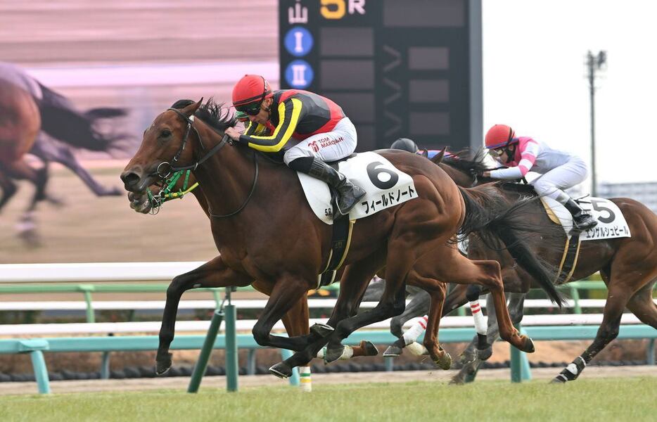 既走馬を相手に一気の末脚で差し切ったフィールドノート＝5日、中山競馬場（撮影・奈良武）