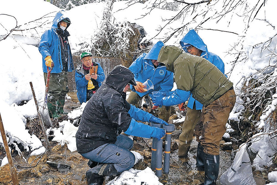 筒状の器具を使ってイワナの発眼卵を川底に沈める漁協役員＝南砺市利賀地区の百瀬川支流