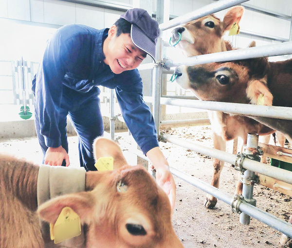 牛を世話する廣池さん（熊本県益城町で）