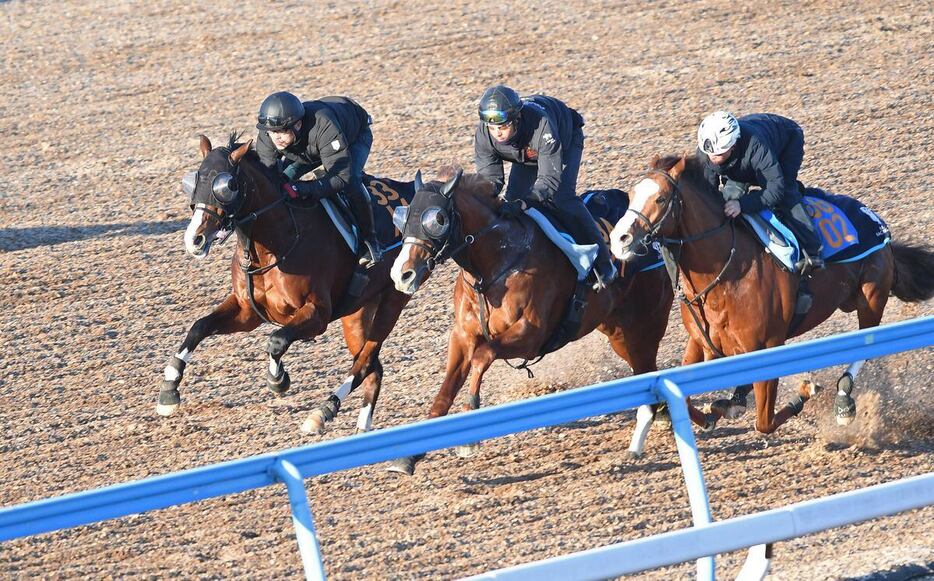 3頭併せでシャープな動きを見せたシマサンブラック（左奥）