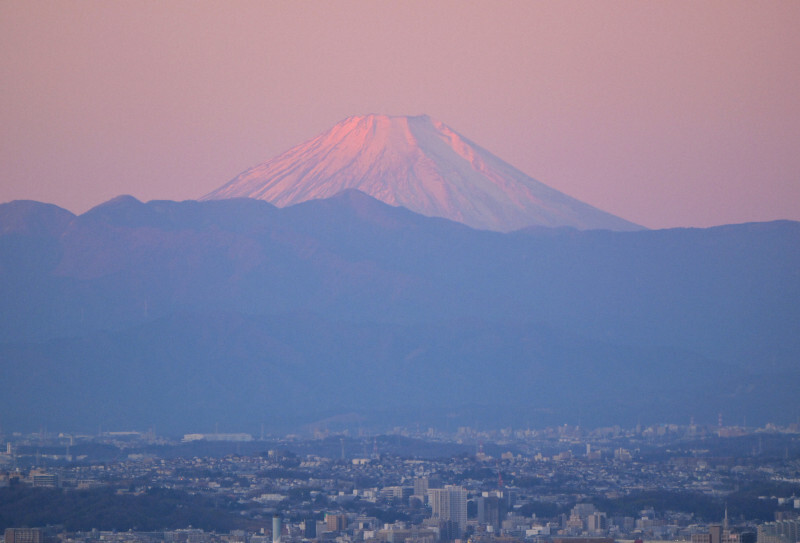 初日の出の光を受けて赤く染まる富士山＝東京都渋谷区の「渋谷スカイ」で2025年1月1日午前6時51分、手塚耕一郎撮影