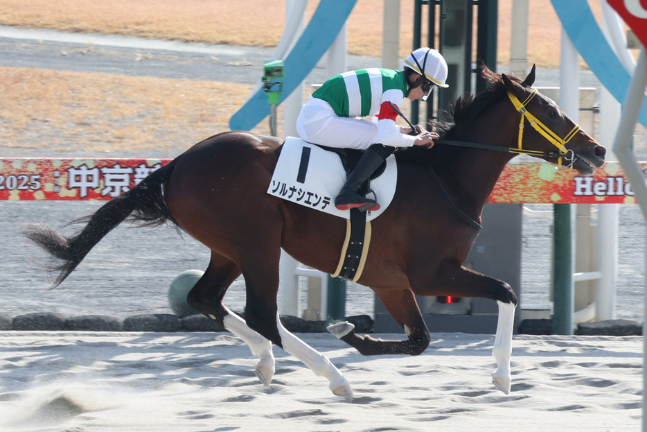 ニューイヤーズデイを父に持つソルナシエンテ